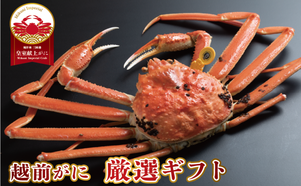 越前ガニ厳選ギフト