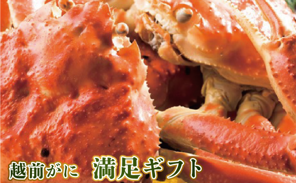 越前ガニ満足ギフト